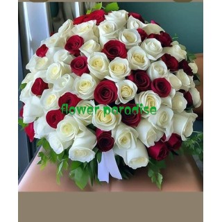 Red white roses